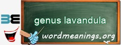 WordMeaning blackboard for genus lavandula